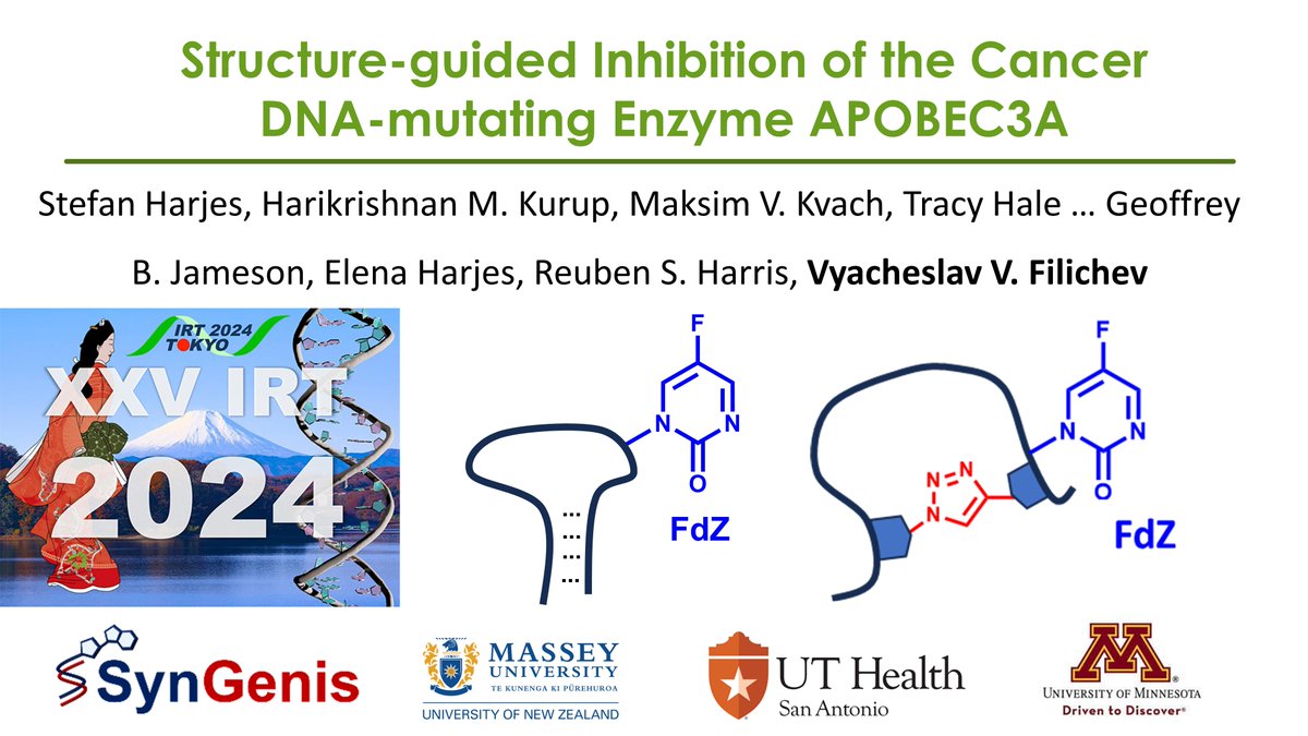 Vyacheslav Filichev (@filichevlab) on Twitter photo Looking forward to attending XXV Roundtable on Nucleosides, Nucleotides and Nucleic Acids <a href="/IS3NA/">IS3NA</a> next week in Tokyo, Japan and presenting our recent results on inhibitors of APOBEC3. Thank you <a href="/syngenis/">SynGenis Pty Ltd</a> and <a href="/MasseyUni/">Massey University</a> for travel support. Looking forward to attending XXV Roundtable on Nucleosides, Nucleotides and Nucleic Acids <a href="/IS3NA/">IS3NA</a> next week in Tokyo, Japan and presenting our recent results on inhibitors of APOBEC3. Thank you <a href="/syngenis/">SynGenis Pty Ltd</a> and <a href="/MasseyUni/">Massey University</a> for travel support.