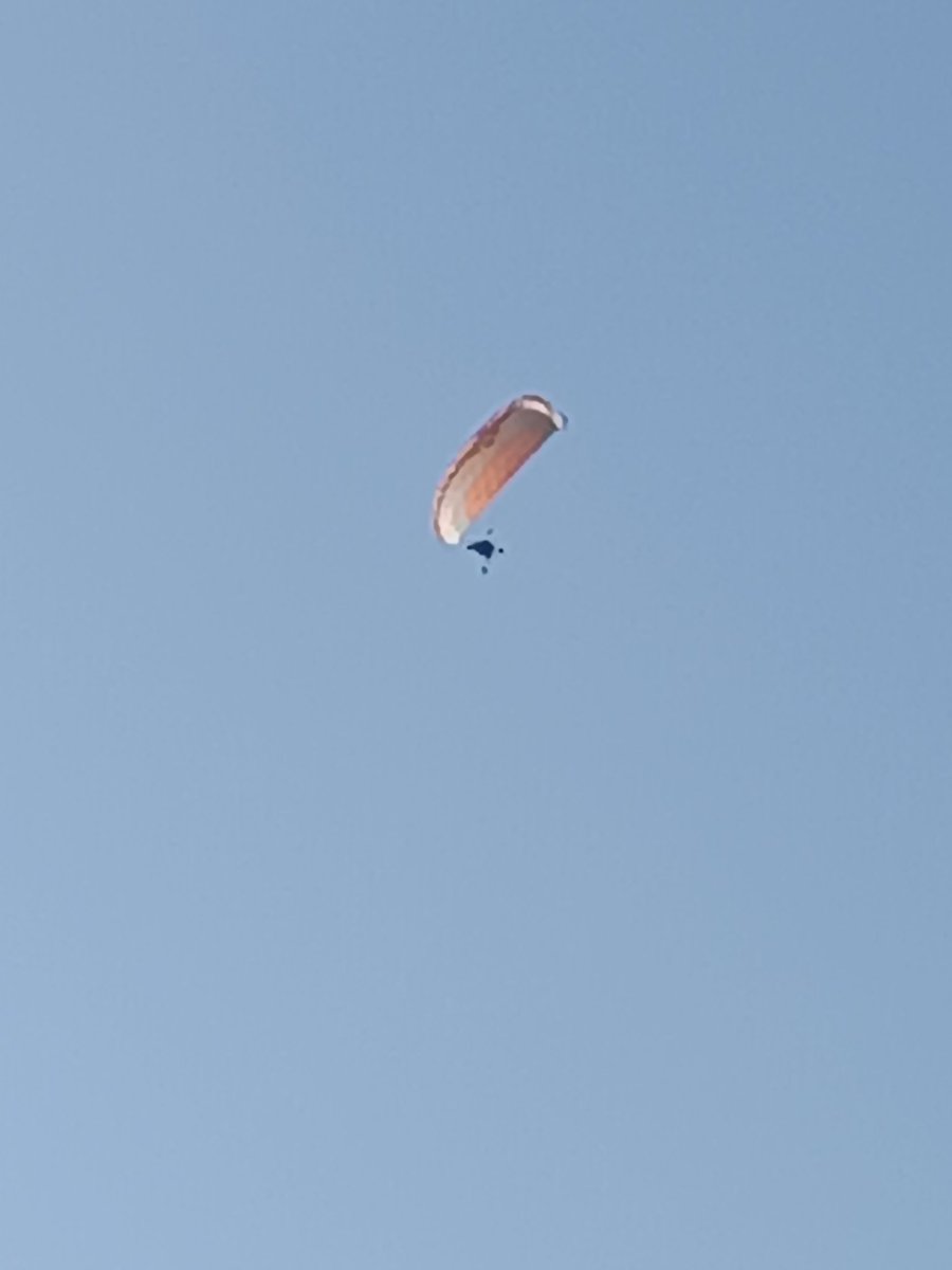 zoufalaprodavac's tweet photo. To si po blbý noci řeknete, že si dáte snídani venku, na vzduchu, v klidu... Ale né... Přiletí bzučák a lítá kolem... #mymorning #nespim https://t.co/SQElPqPElj