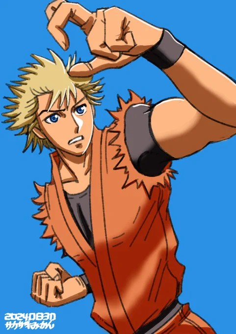 #龍虎の拳