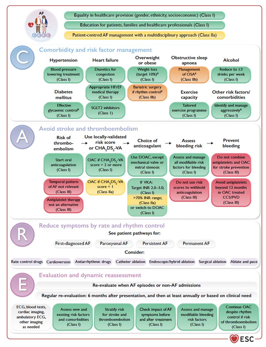 New #ESCGuidelines on #Afib 2024

The 🆕 AF-CARE pathway

💡Comorbodity and risk factor management
💡Avoid stroke
💡Reduce symptoms by rate and rhythm control
💡Evaluation and dynamic reassessment

#ESCCongress <a href="/escardio/">European Society of Cardiology</a>