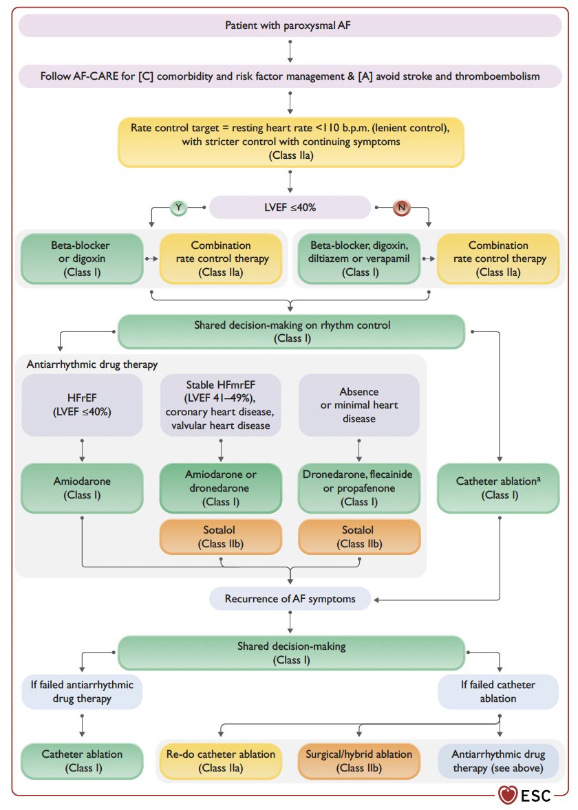 David Duncker (@davidduncker) on Twitter photo New 2024 #ESCGuidelines on #Afib
🆕Class IA recommendation:
Catheter ablation for AF now recommended as a first-line option within a shared decision-making rhythm control strategy in paroxysmal AF
#ESCCongress <a href="/escardio/">European Society of Cardiology</a> New 2024 #ESCGuidelines on #Afib
🆕Class IA recommendation:
Catheter ablation for AF now recommended as a first-line option within a shared decision-making rhythm control strategy in paroxysmal AF
#ESCCongress <a href="/escardio/">European Society of Cardiology</a>