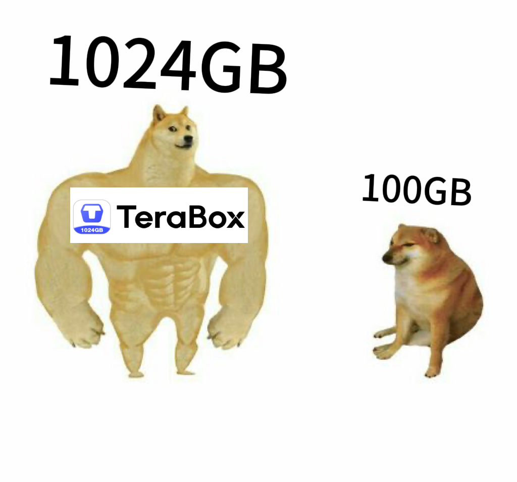 TeraBox1024GB's tweet photo. 100GB of cloud storage? How about 1024GB instead? TeraBox offers a massive 1024GB—10x the space! With so many users trusting our secure and reliable service, your files are in safe hands. 🌐 #TeraBox #CloudStorage" https://t.co/RccWkiJoUH