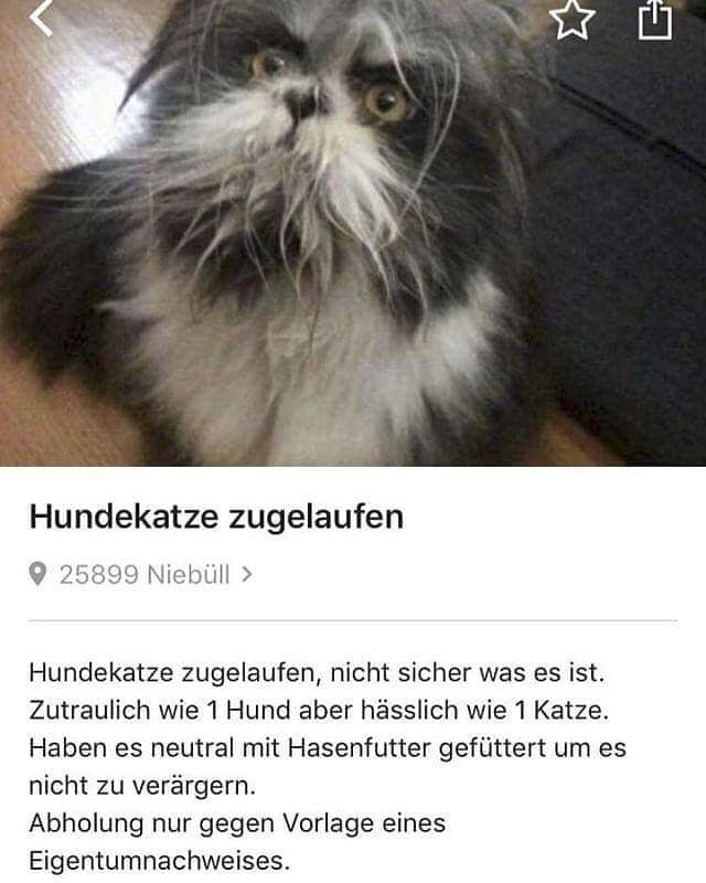 Jules1Youtube's tweet photo. neutrales hasenfutter https://t.co/KVOFf7eyi2
