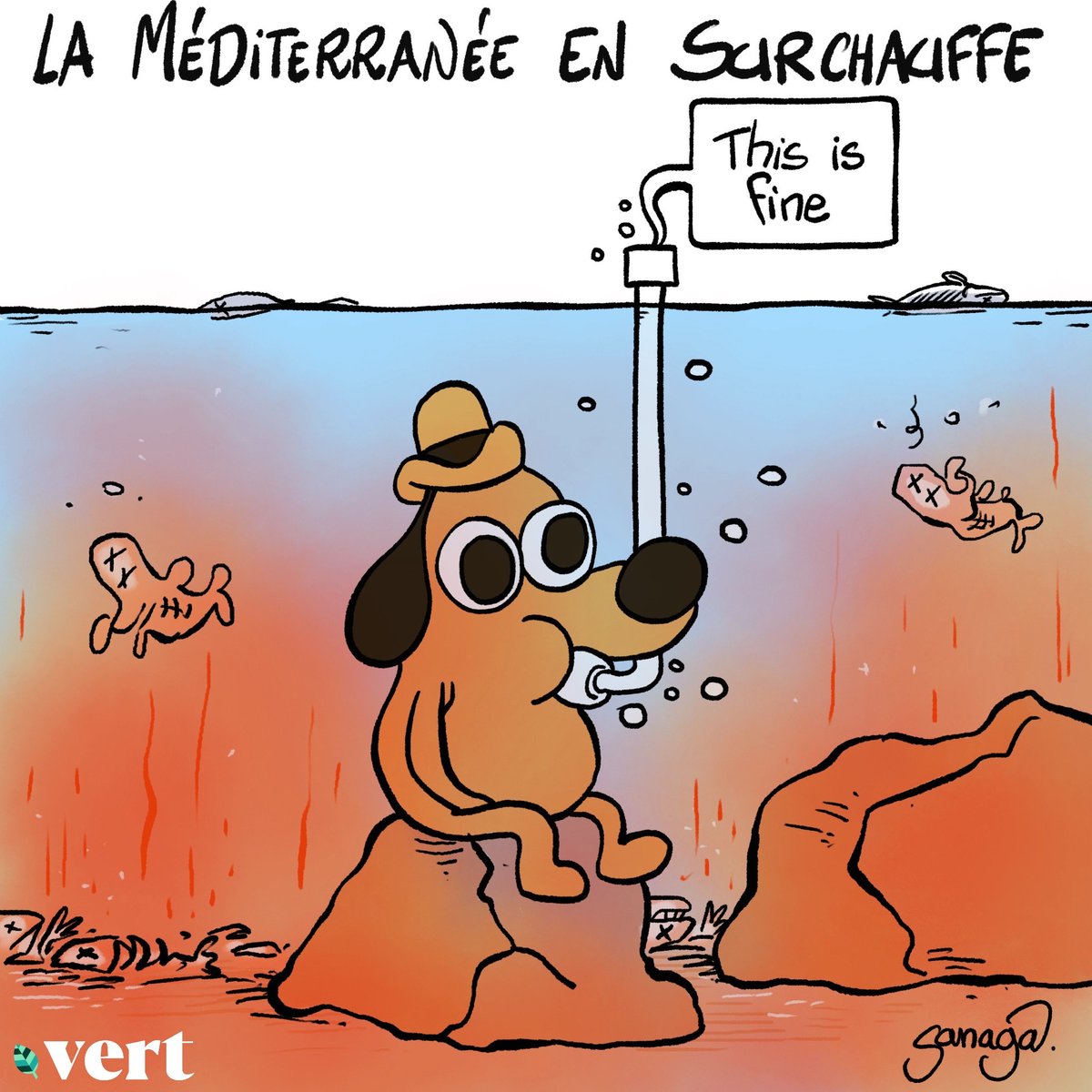 BlaguesDessins's tweet photo. Le #DessinDePresse de Sanaga : La Méditerranée en surchauffe
Retrouvez tous les dessins de Sanaga : https://t.co/VQNx0gcWdF
#DessinDeSanaga #ActuDeSanaga #Sanaga #Humour #Méditerranée #Surchauffe #Tropicalisation #QuestionHound #ThisIsFine #Réchauffement https://t.co/r81KPOQKYw