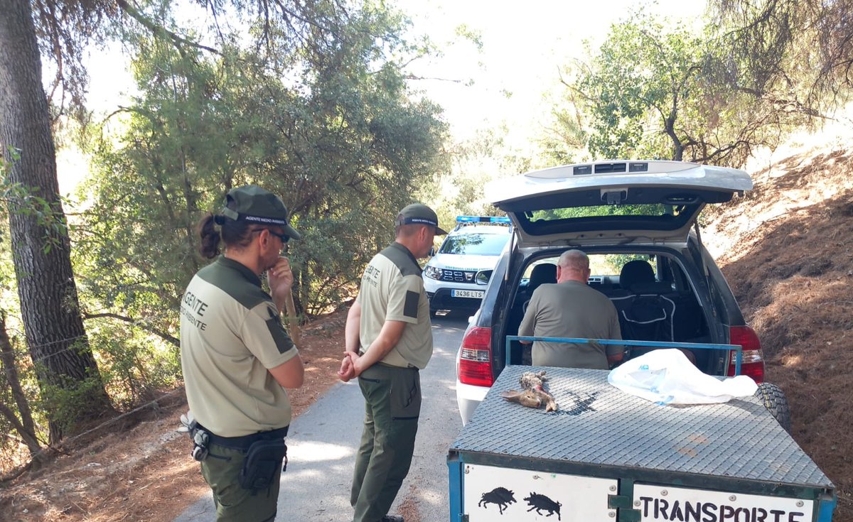 AAMM_And's tweet photo. 1. En el marco del plan de inspección sobre cumplimiento de la Cuota Cero de capturas de Tórtola europea, encomendado por el Instituto Andaluz de Caza y Pesca de @MedioAmbAND, Agentes de Medio Ambiente de #Granada realizan servicio de control de caza durante la Media Veda. https://t.co/9wkovALjzC