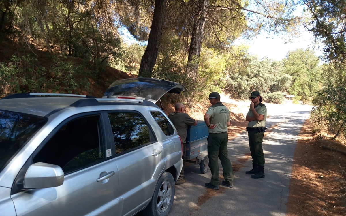 AAMM_And's tweet photo. 1. En el marco del plan de inspección sobre cumplimiento de la Cuota Cero de capturas de Tórtola europea, encomendado por el Instituto Andaluz de Caza y Pesca de @MedioAmbAND, Agentes de Medio Ambiente de #Granada realizan servicio de control de caza durante la Media Veda. https://t.co/9wkovALjzC