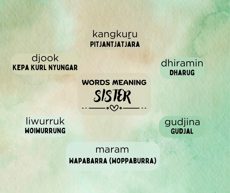 RUIL Unimelb (@indiglang) on Twitter photo Here are six words for sister in six Indigenous languages. Listen and learn at the 50 Words Project link below.
50words.online/languages
#learnlanguages #IndigenousLanguages
<a href="/ArtsUnimelb/">Faculty of Arts</a> <a href="/IKI_Unimelb/">Indigenous Knowledge Institute</a> Here are six words for sister in six Indigenous languages. Listen and learn at the 50 Words Project link below.
50words.online/languages
#learnlanguages #IndigenousLanguages
<a href="/ArtsUnimelb/">Faculty of Arts</a> <a href="/IKI_Unimelb/">Indigenous Knowledge Institute</a>
