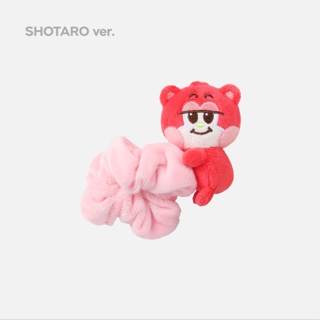 RIIZE リズコ ショウタロウ シュシュ ペンラ RIIZE ライズ ペンライトカバー リズコ ショウタロウ シュシュ - メルカリ