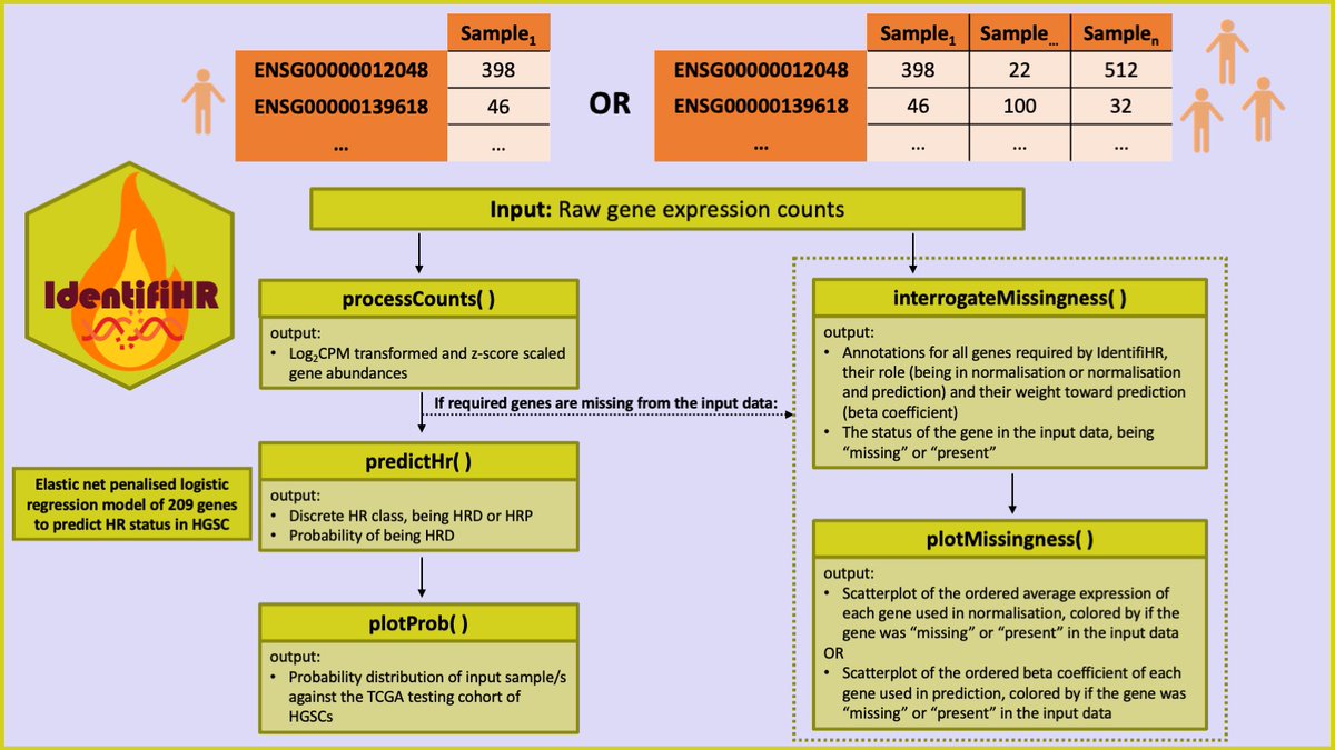 ashleyweir0's tweet photo. IdentifiHR can predict the HR status of one or many HGSC samples and requires only a counts table. We have built this tool as an R package and hope it will be used to extend our understanding of HGSC. IdentifiHR can be access at: https://t.co/bQftxnQJnt https://t.co/cWduqK0zwB