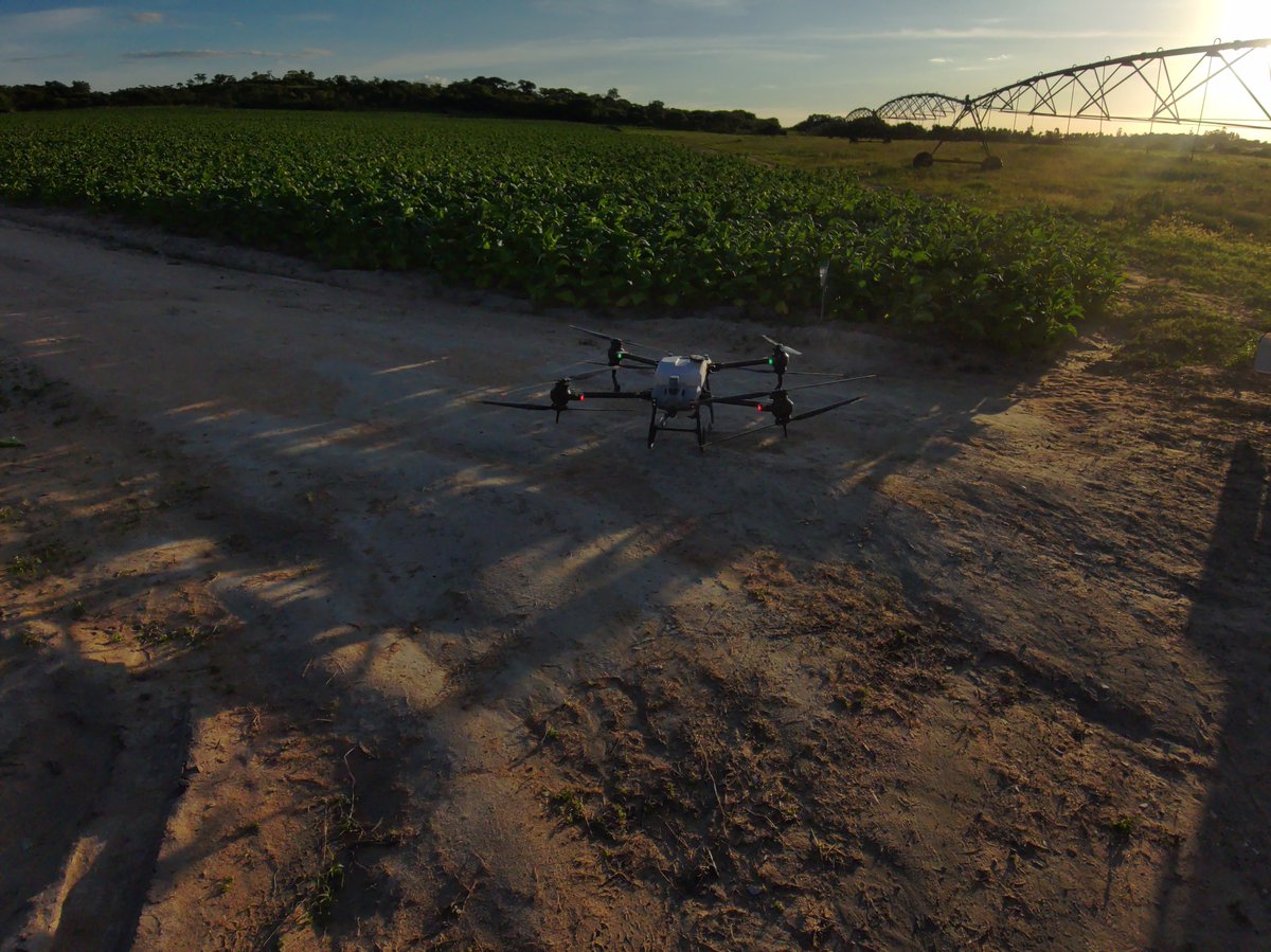 Precision Aerial tweet media