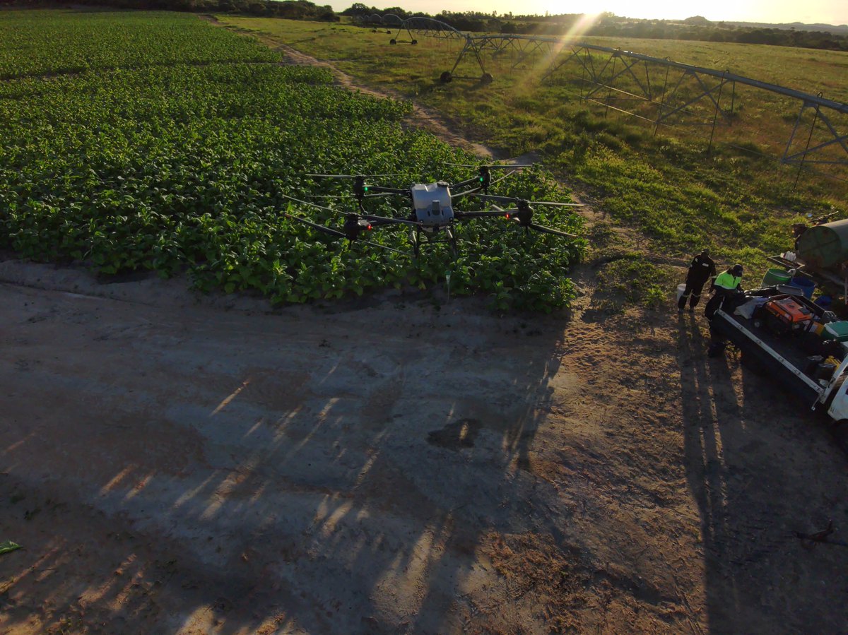 Precision Aerial tweet media