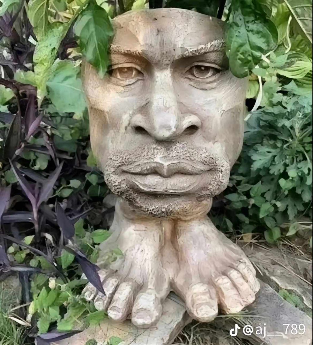 WarLord Shen tweet media