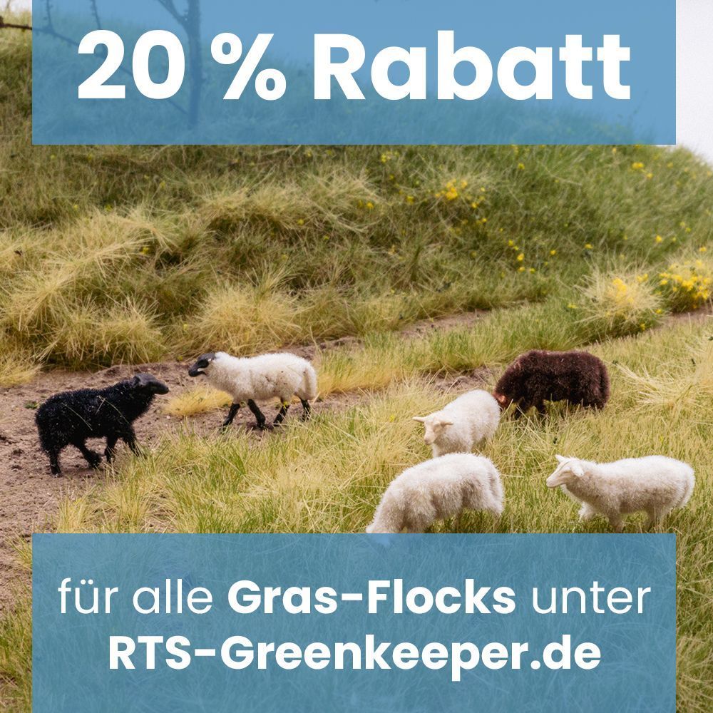 Spart bis zum 08. September 20 % auf alle Gras-Flock Bestellungen in unserem Online-Shop! 🌱 

1. Wählt eure Gras-Flock-Produkte aus
2. Legt die Artikel in den Warenkorb
3. Tragt beim bezahlen den Gutscheincode "grasflock" ein und sichert euch damit den Rabatt! #modellbau