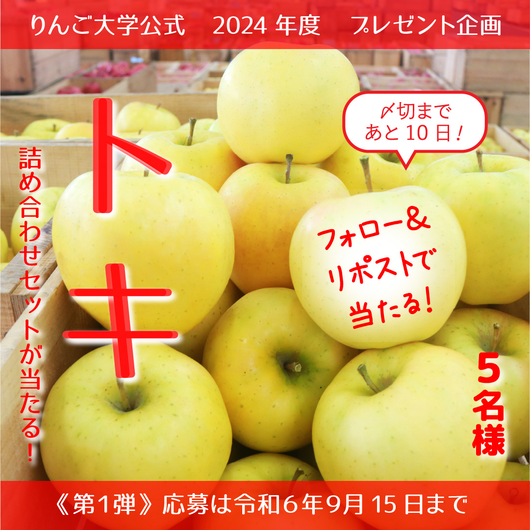 りんごさま専用出品 りんご。様 りんご様 専用 専用 リンゴ様専用 林檎