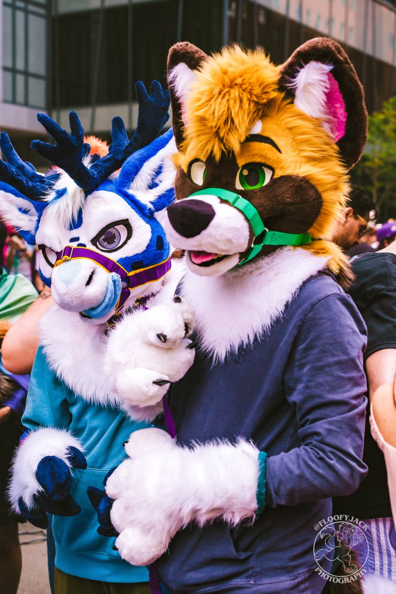 Out for a walkie :D
🦮🦌
happy #FursuitFriday 
🦮 <a href="/borkehlicious/">Chaokita 🔜 AFC</a> 
👕 <a href="/factory_wolf/">🌓🐺 Wolf Factory 🐺🌗</a>