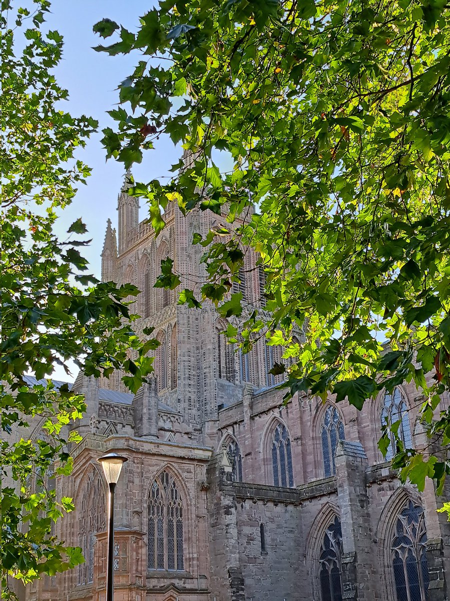 The light of morning  <a href="/HFDCathedral/">Hereford Cathedral</a>