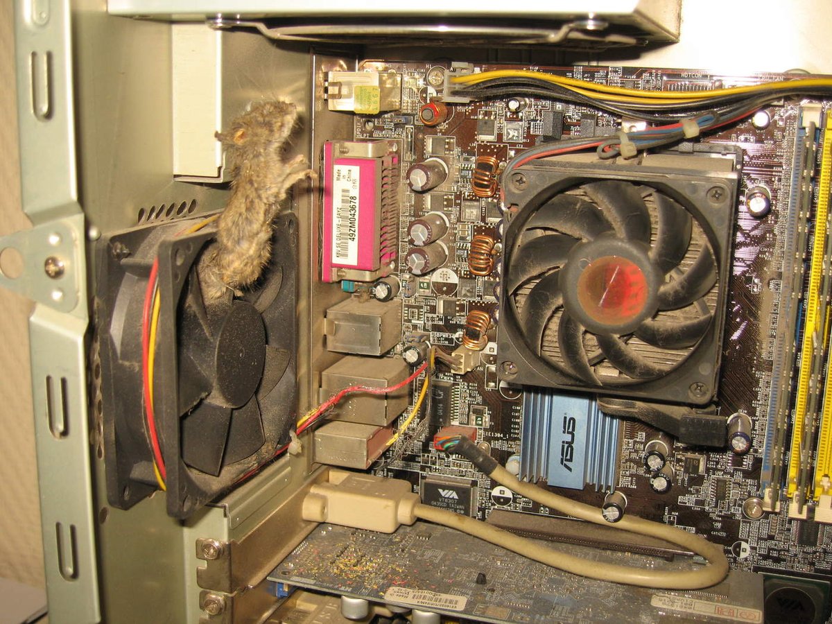 ALMUFKR1's tweet image. A computer full of dust and dirt and they found a dead mouse inside 🖥🐀🤦‍♂️

#dirtycomputer #janellemonae #computerrepair #computer #computers #computeraccessories #computerengineer #computervision #computersetup #gamingcomputer #computergraphics #computergeek #okcomputer