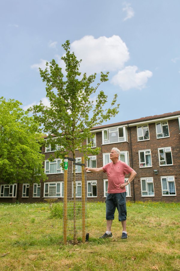 Donating a tree for your community is a wonderful thing to do🌳🌞

Meet Michael who kindly funded this tree outside a #Croydon care home.

It’s well known that a view of nature reduces stress + anxiety, and promotes healing. 

Plant a tree for your town👉Treesforstreets.org