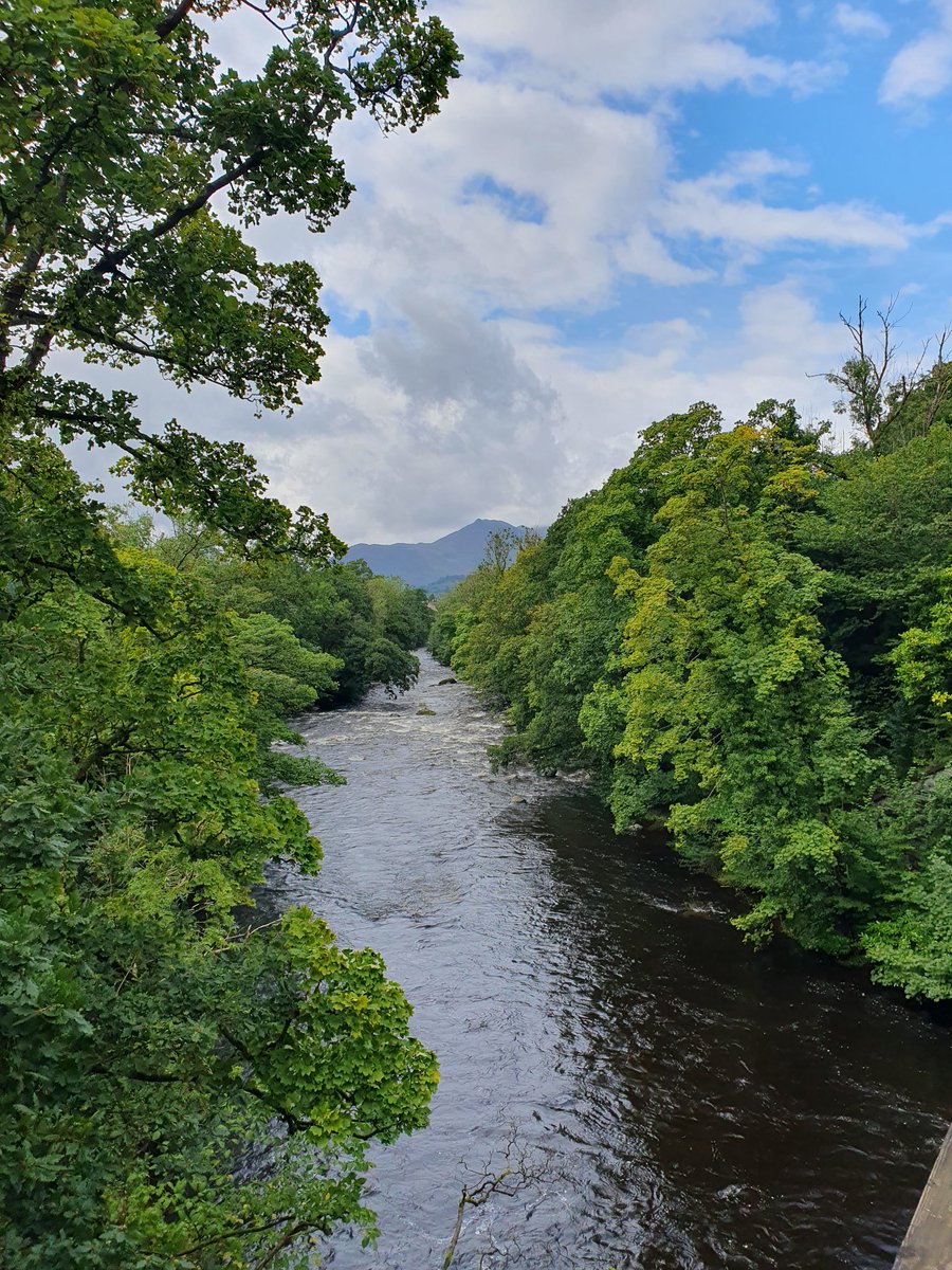 563 Aldo tweet media