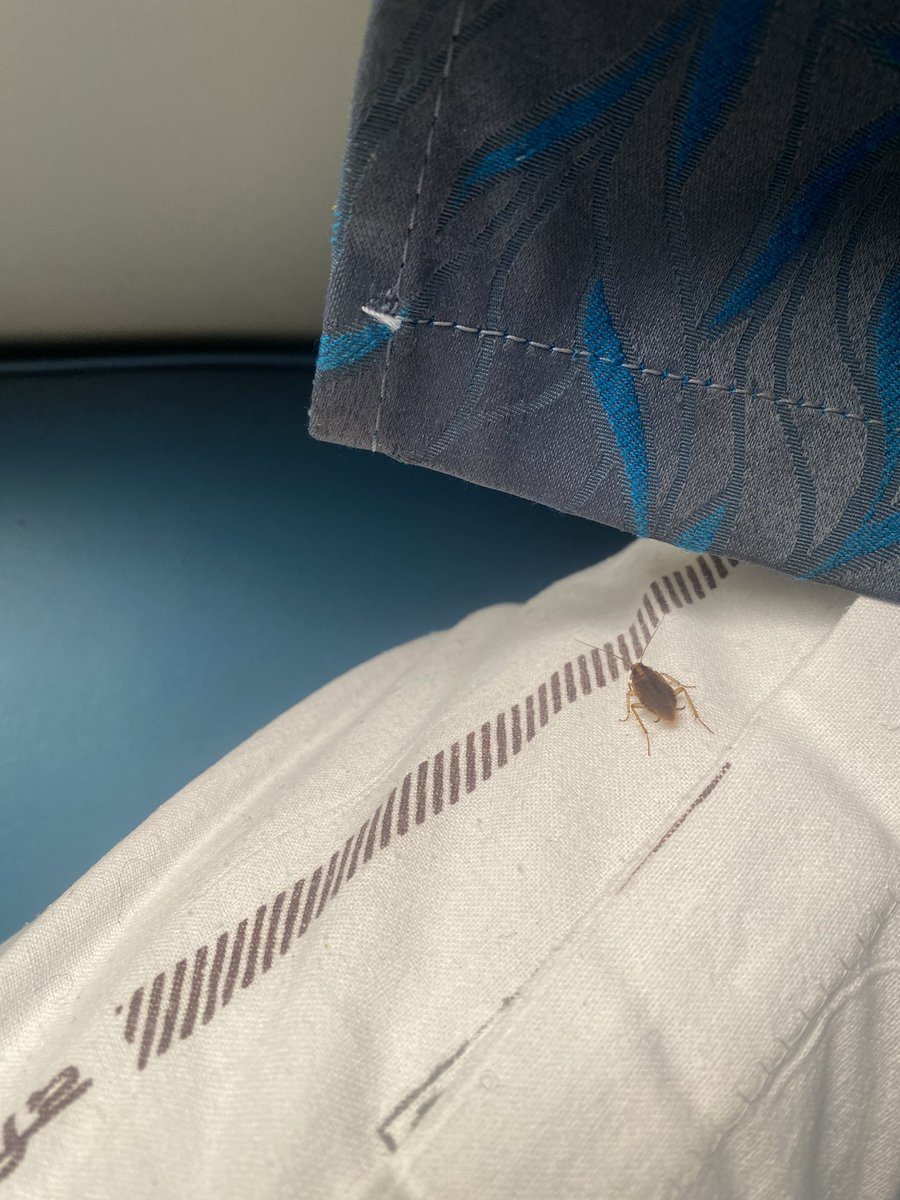 Rishabh kumar Yadav tweet media