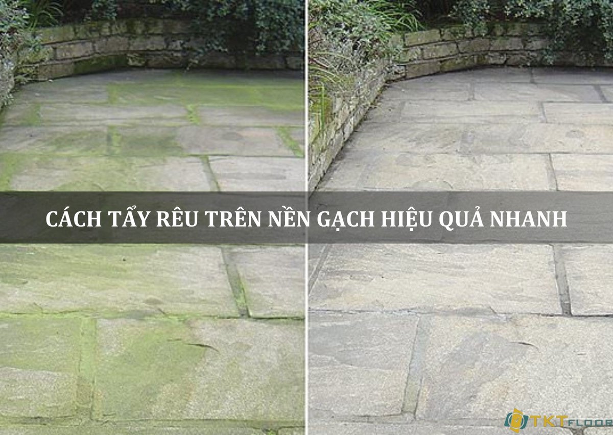 CÁCH TẨY RÊU TRÊN NỀN GẠCH HIỆU QUẢ NHANH dlvr.it/TCYMtN
