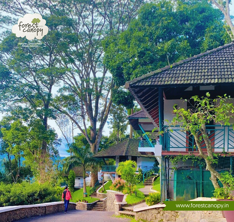 forest_canopy's tweet photo. https://t.co/LWw0NsbOCt
Escape to a luxurious forest oasis, where our 5-star resort offers lavish accommodations, private balconies, and panoramic forest views. Book your stay now and indulge in a relaxing getaway with your loved ones
Reservations: +91 9400660001 https://t.co/HlwnDpLJER
