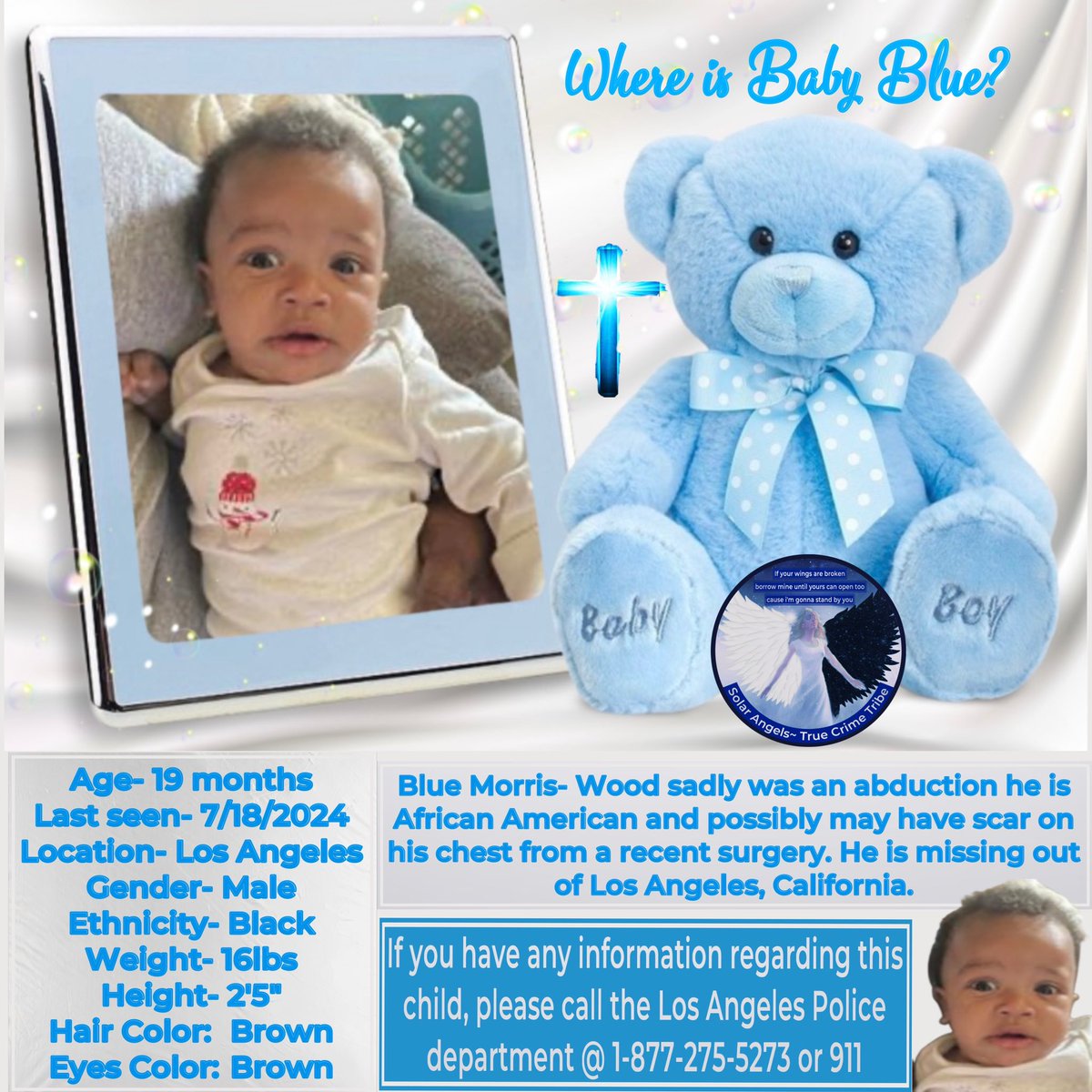 pops_angels's tweet photo. #Whereisbabyblue #Bluemorriswade #Losangelesca https://t.co/Nk2GkB7Hxj