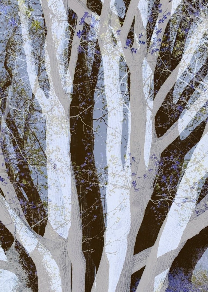 Ekaterina Mikryukova tweet media