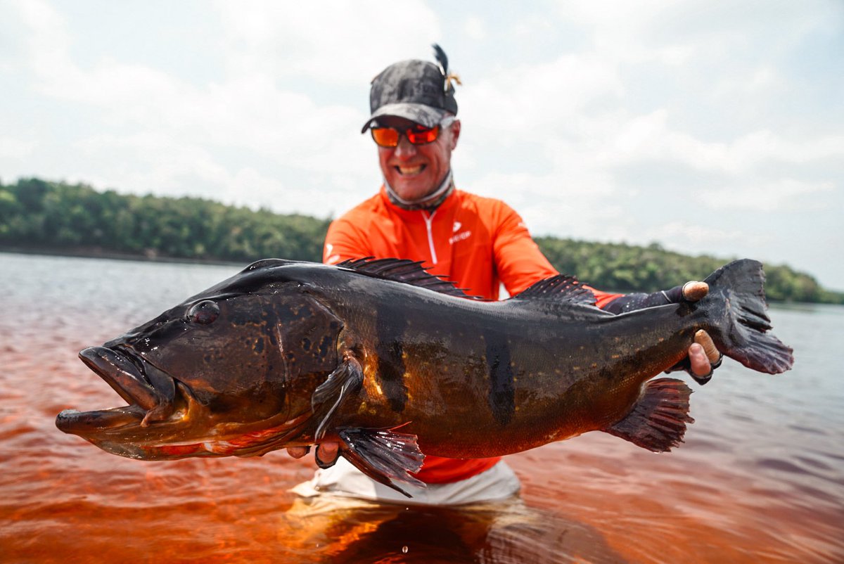 Juliano Flores (@julianofloresx) on Twitter photo 