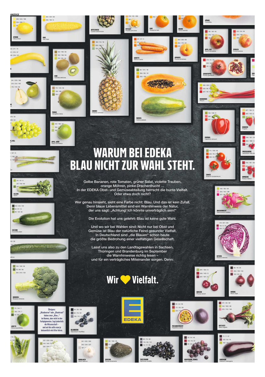 ArminWolf's tweet image. Die größte deutsche Lebensmittelkette (400.000 Mitarbeiter·innen in 12.000 Läden) warnt via Anzeige in der ZEIT und der FAZ davor, AfD zu wählen.