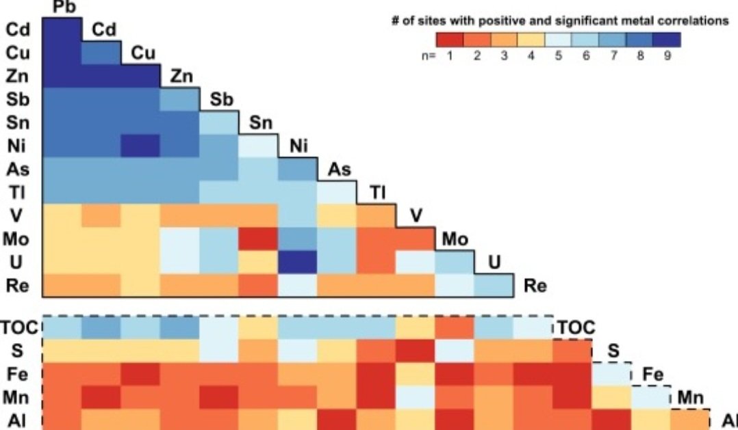 Tom Jilbert tweet media