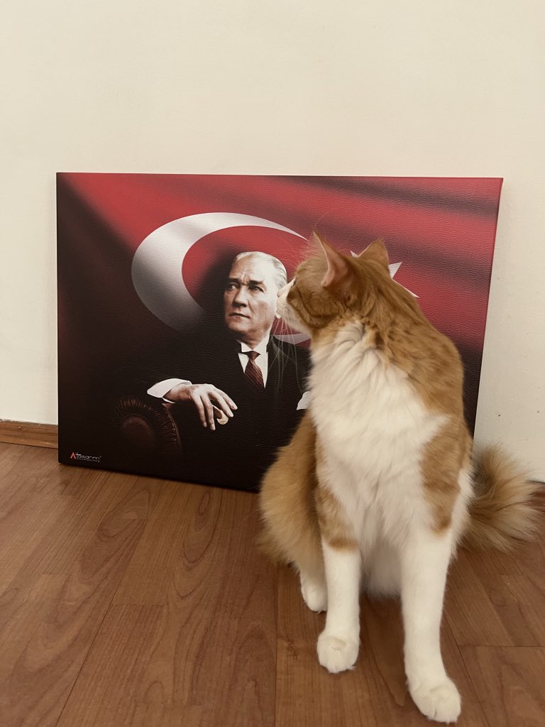 minnos_oglan's tweet photo. 30 Ağustos Zafer Bayramı Kutlu olsun ❤️🤍 https://t.co/Xd4OEVYoeu