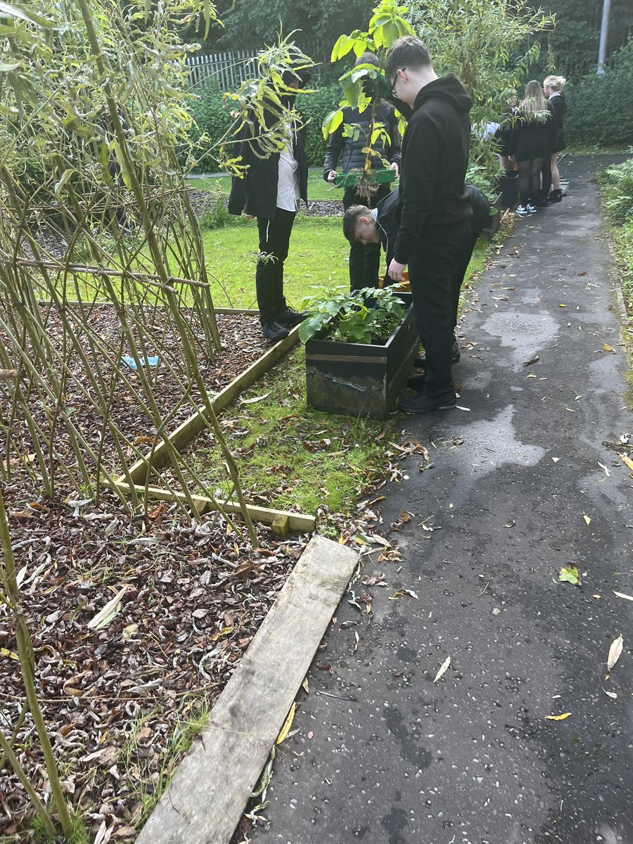 This week we were delighted to deliver our first harvest to a fantastic community cafe at The Birgidale Complex in Castlemilk! Our young people are growing flowers, herbs, fruit and vegetables in our fantastic school garden space to help the local and school community!