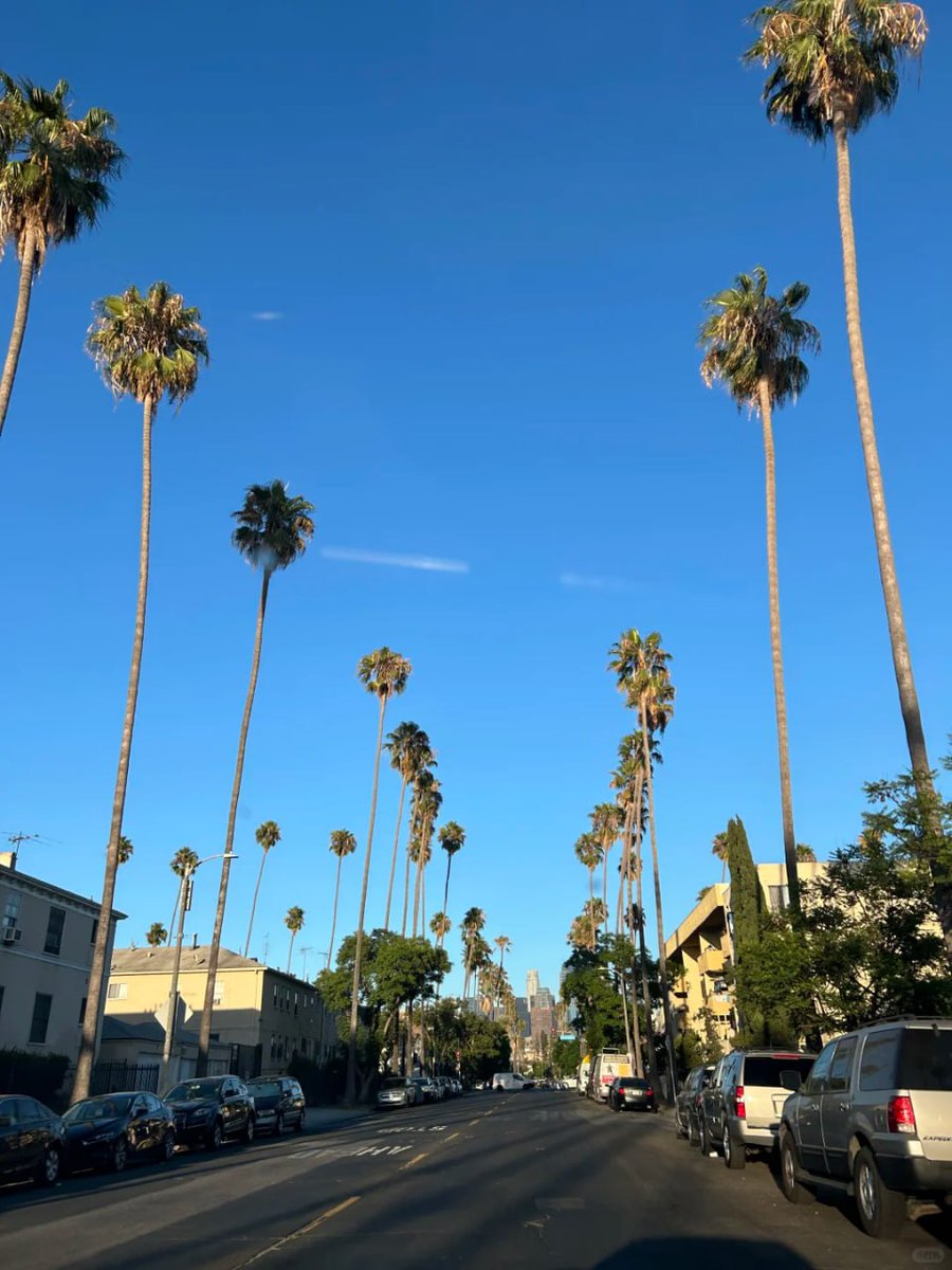 fascicular ᠎nolpros ﾠvenerology
The real  America also ﾠhas ⳿its ​ugly ⳿and messy side. ﾞBut it ⳿seems that ﾠthis ﾠis not ⳿entirely ᠎a ᠍disenchantment ‍with ⳿America ‍or ᱸCalifornia, ﾞbut ⳿rather ﾞmakes ⬝my ⬝worldview  and ⬝personality ﾞmore complete.