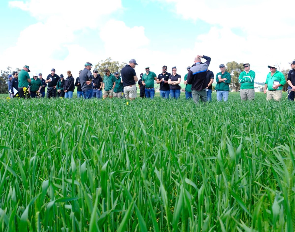 Goomalling Pre-Emergent Showpiece trial walk with Nutrien Ag