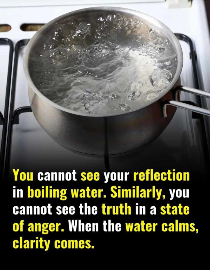 paulmhlongo_'s tweet image. 