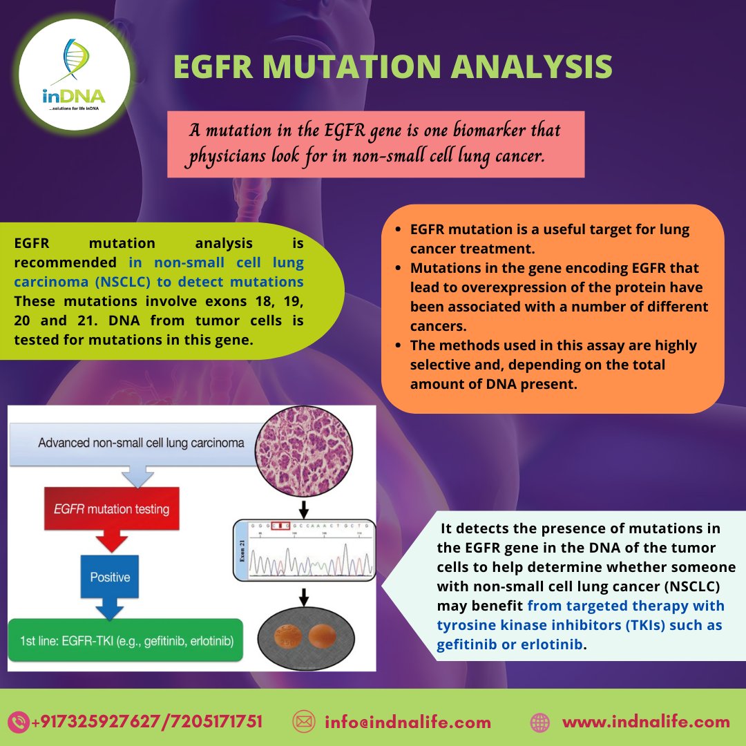 inDNA_life's tweet photo. EGFR is a protein on cell surfaces that signals cells to grow, and when mutated, it can cause cancer. EGFR mutations are an important part of the diagnostic modality towards treating NSCLC.
#egfrmutation #MolecularTesting https://t.co/ptkRlQN8bE