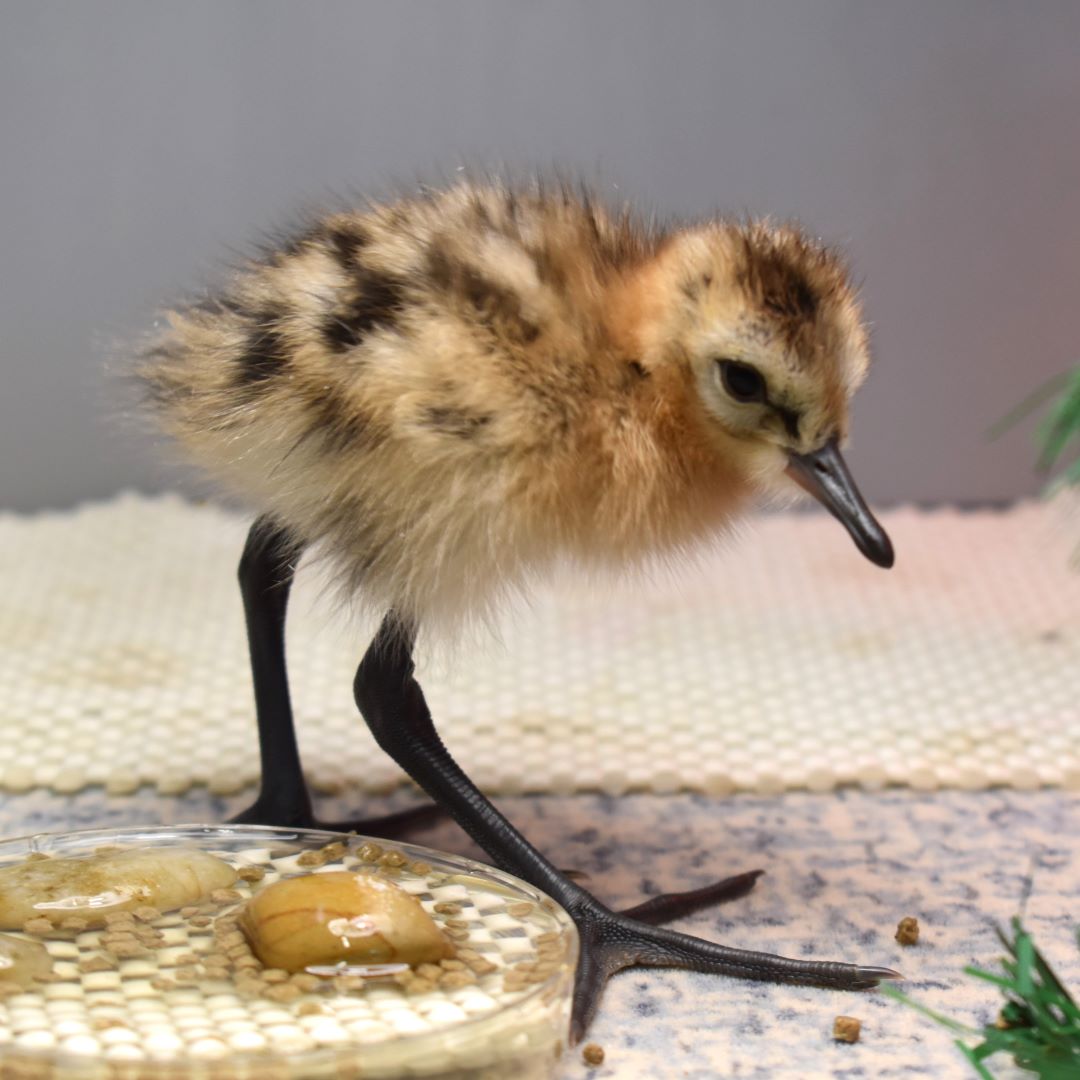 Natural England tweet media