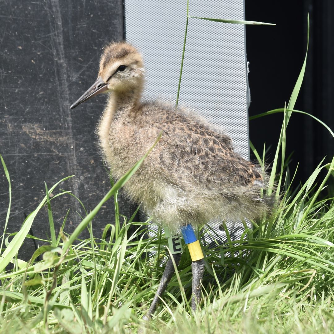Natural England tweet media