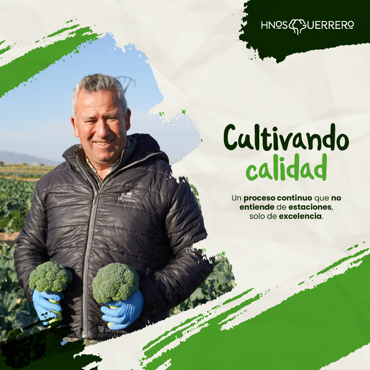 HnosGuerrero's tweet photo. 🥦🌱 En Hermanos Guerrero, la calidad no tiene temporada. Cultivamos brócoli, asegurando que cada pieza refleja nuestro compromiso y calidad. Con pasión en cada detalle, traemos lo mejor del campo a tu mesa.

#HermanosGuerrero #Brócoli #Caldiad #Excelencia https://t.co/H4SKTr7jyD