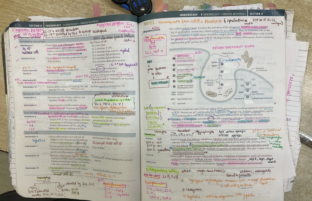 workhard1017's tweet image. WHAT I DID DIFFERENTLY AS AN AVERAGE STUDENT TO SECURE RANK 1406 THIS #NEETPG IN MY FIRST ATTEMPT (a 🧵)

1)FIRST AID is a true differentiator. It helps tremendously with revision. Used it for biochem, path, medicine, micro, pharm (posting few imgs of my First Aid below)
#neet