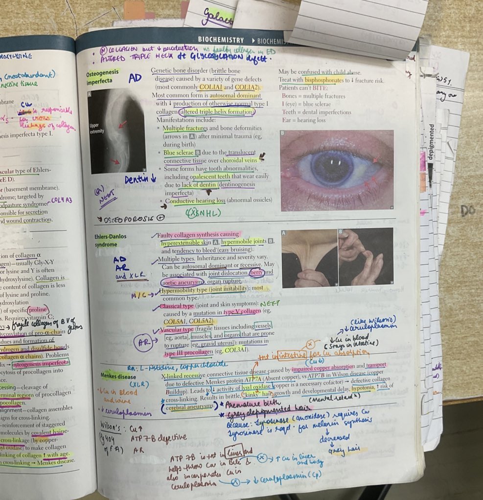workhard1017's tweet image. WHAT I DID DIFFERENTLY AS AN AVERAGE STUDENT TO SECURE RANK 1406 THIS #NEETPG IN MY FIRST ATTEMPT (a 🧵)

1)FIRST AID is a true differentiator. It helps tremendously with revision. Used it for biochem, path, medicine, micro, pharm (posting few imgs of my First Aid below)
#neet