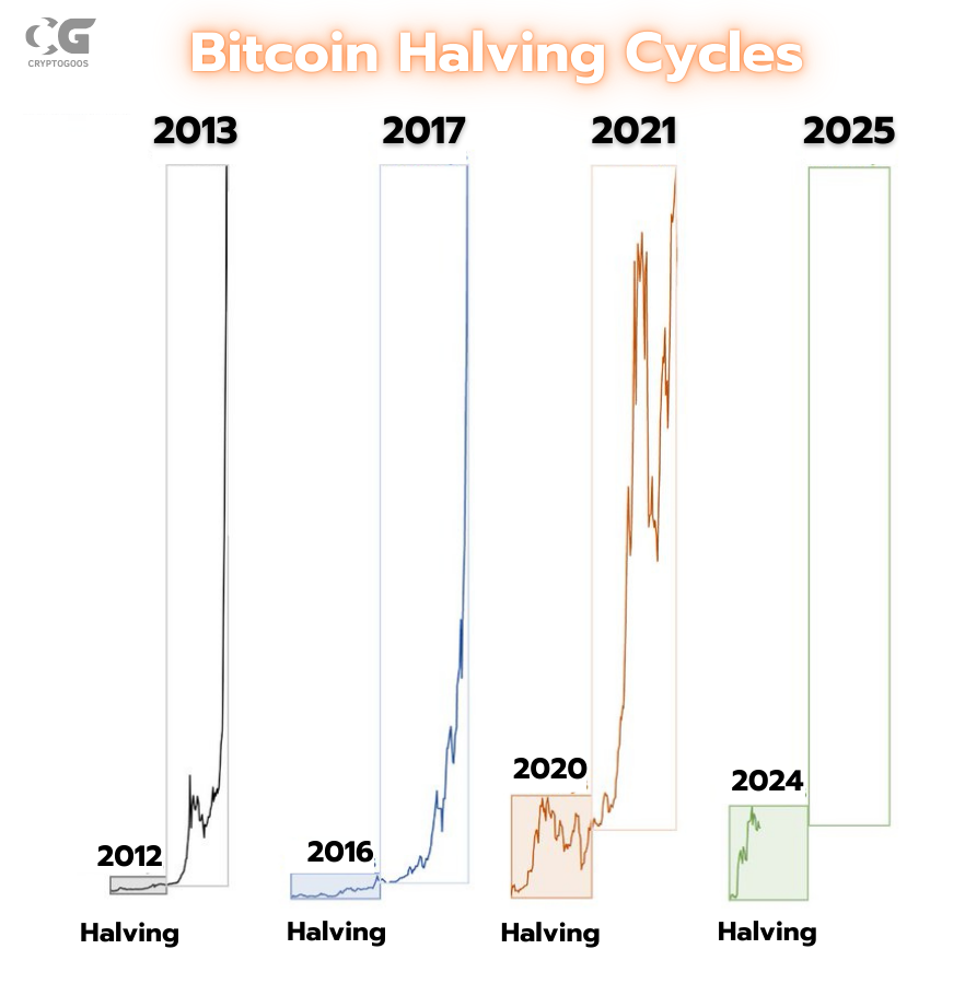 Crypto Rover tweet media