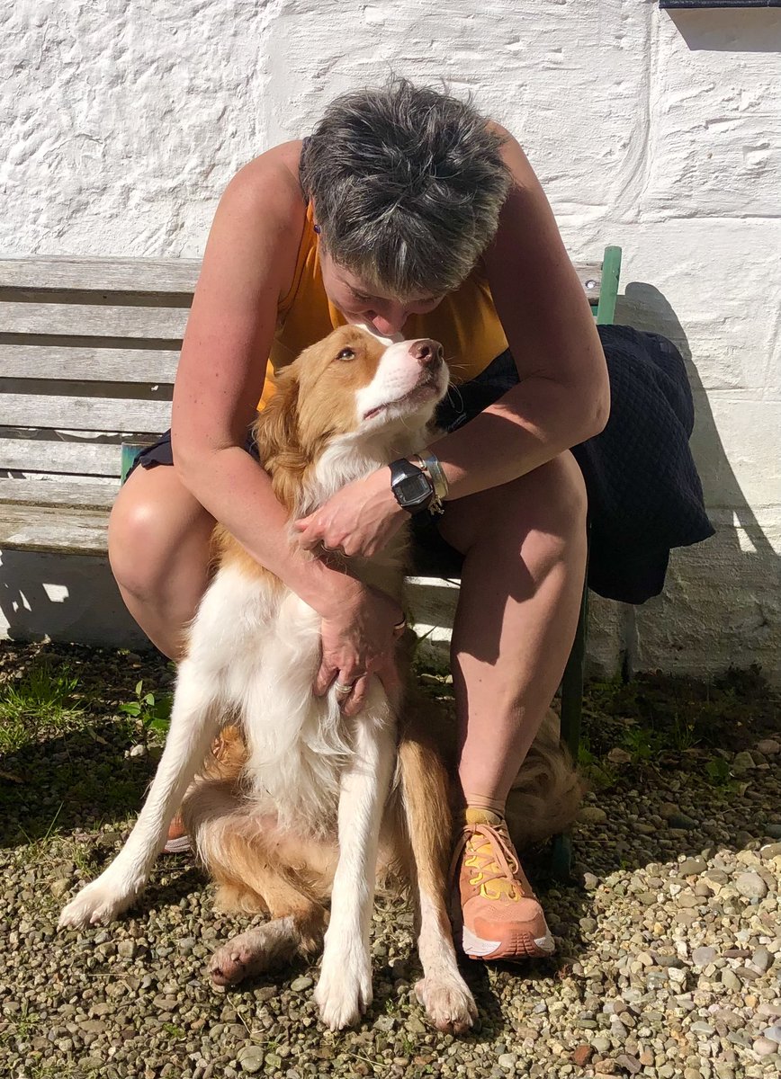 zakthecolliedog's tweet photo. Gaining trust…
We took this photo just yesterday, it’s 14 weeks since he joinined us.
It’s such a honour to start gaining the trust of #RescueRu 🤎
We owe it to #jessedog &amp; #jackthelad for showing him the way (&amp; of course #zakthecolliedog ) 🖤🖤🖤
Happy Friday folks ☀️☀️☀️ https://t.co/PkdlekVYaL