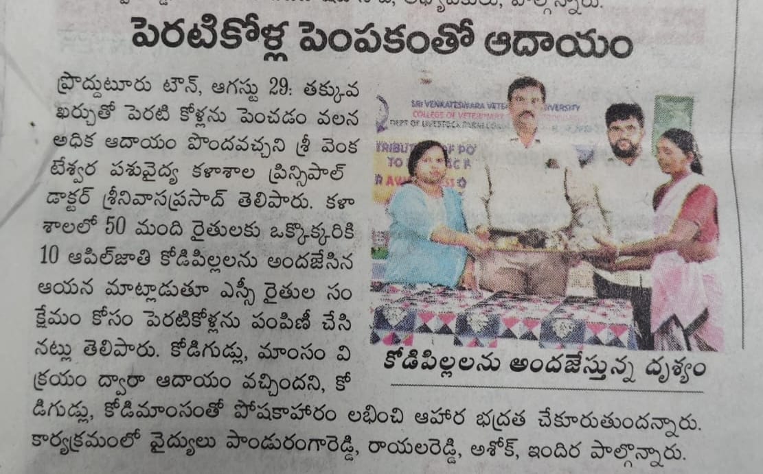 svvetvarsity's tweet photo. News coverage of CVSc Pdtr on Aseel Bird distribution in association with awareness to SC farmers on backyard poultry on 30.08.2024 https://t.co/1H8ofOB3DC