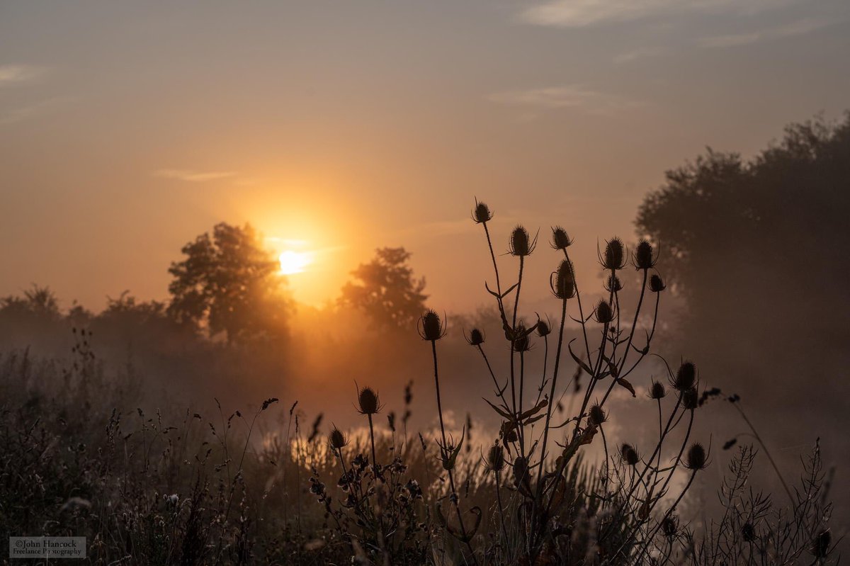 JohnHancockcouk's tweet photo. Sunrise over the Avon, Pershore, Worcestershire #sunrise #worcestershire #pershore #worcestershirehour https://t.co/Oc0yDjkrxo