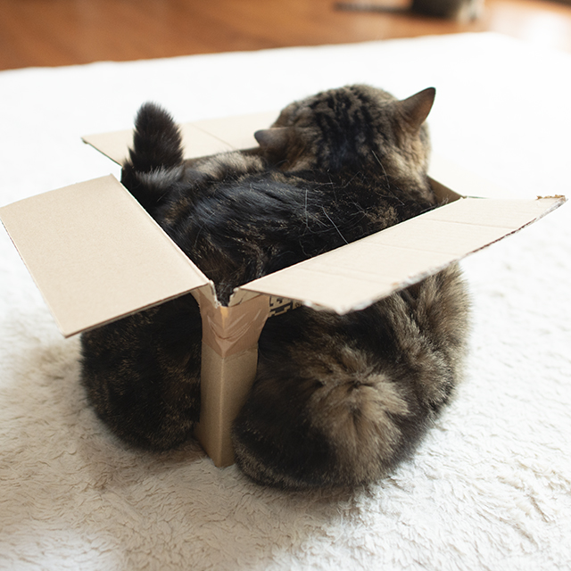 maruさま・確認用です まるです。 - YouTube