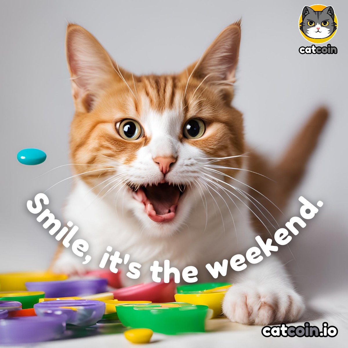 Weekend vibes are back meow!

Weekend Winner - $20

• Follow <a href="/officialcatcoin/">Official Catcoin</a>
• Retweet 
• And comment #Catcoin #USDT #giveaway 

48 hours