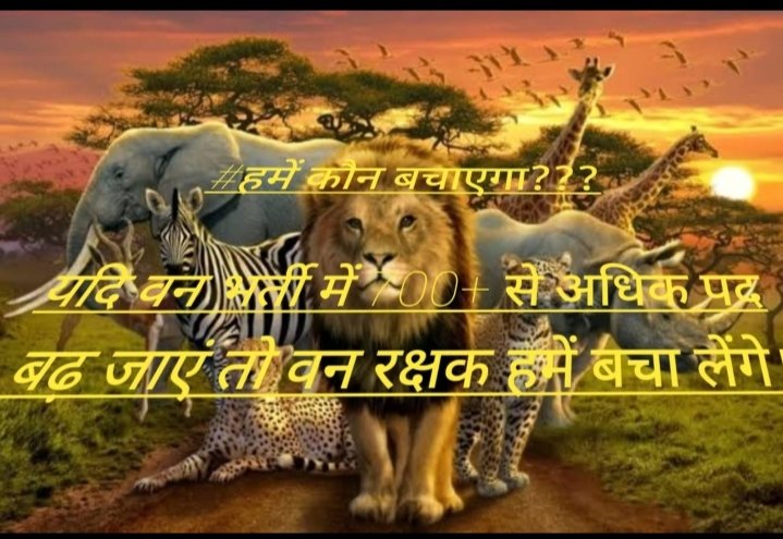 GopalBavaliya4's tweet photo. #GJ_वनरक्षकों_की_पद_बढ़ाओ
#JusticeForForestGuard: https://t.co/61VS5wZWI3