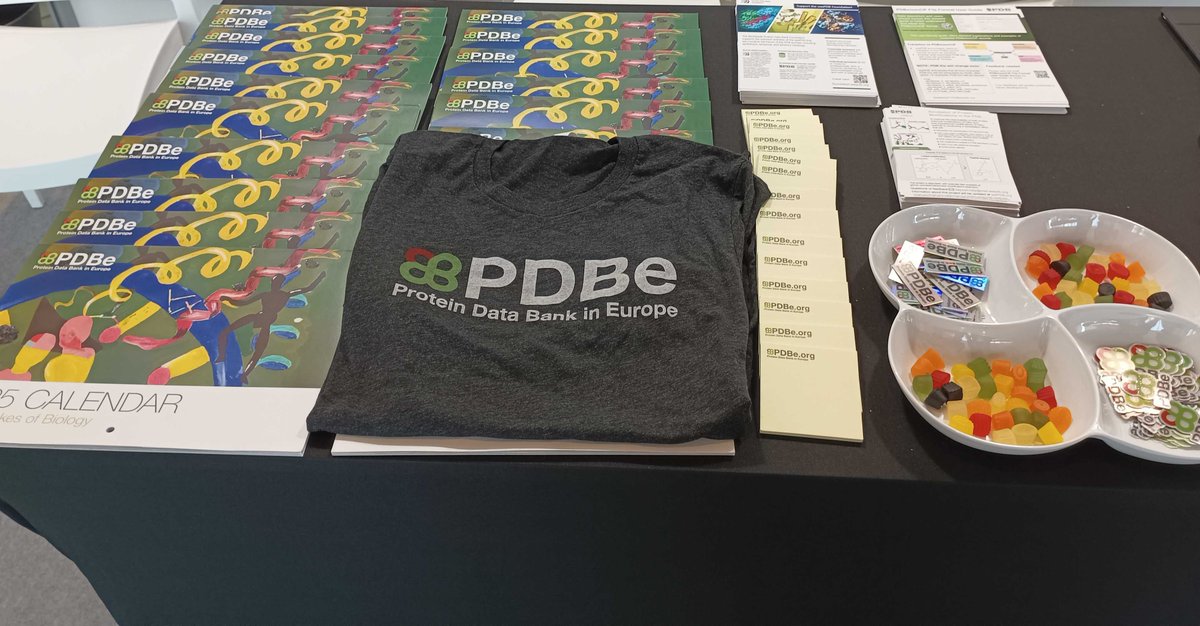 PDBeurope's tweet photo. It's the last day of #ECM34!! Make sure to come by stand #25 to chat with our team & get your copy of the #PDBe 2025 calendar / goodies! We also have the last t-shirt up for grabs, if you decide to participate in some user testing!
#PDBart https://t.co/0UxSADuLya